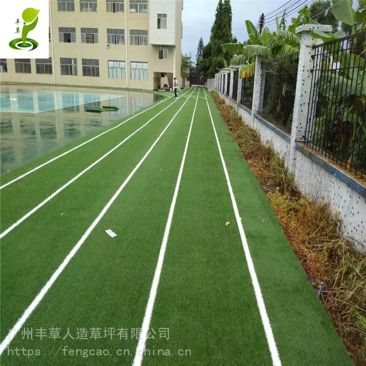最后的波纹_波纹最后一句说了什么_波纹是谁