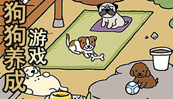 dog游戏手机_手机游戏抖音直播怎么弄_手机游戏都要输入身份证了