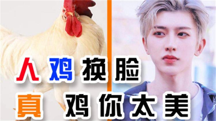 抄袭鸡吃手机游戏犯法吗_模仿吃鸡的手游_抄袭吃鸡的手机游戏
