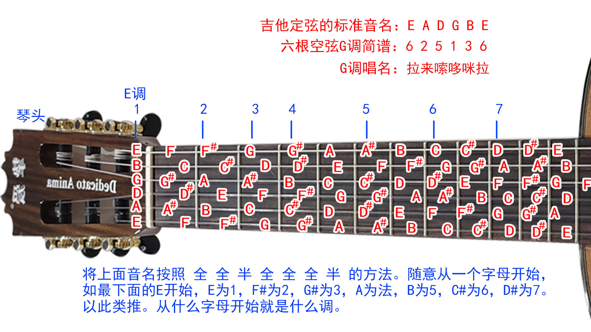 纳卡米尔_卡米纳_纳卡米妥