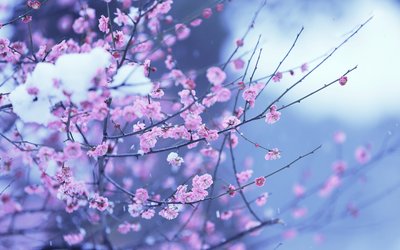 摆渡人生手机版游戏下载_摆渡人生游戏正式版_摆渡人生游戏攻略