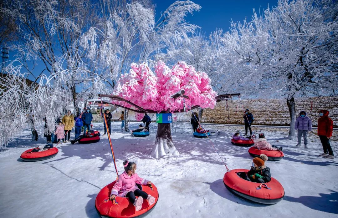 雪雉值得练吗_雪雉是什么动物图片_雪雉