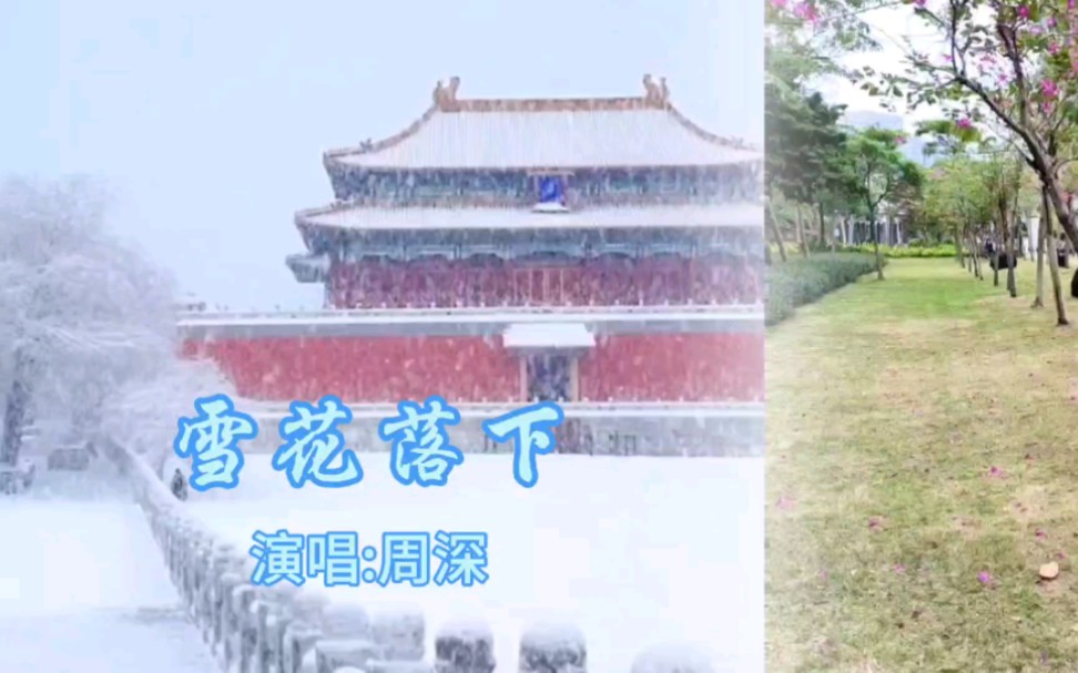 雪雉是什么动物图片_雪雉值得练吗_雪雉