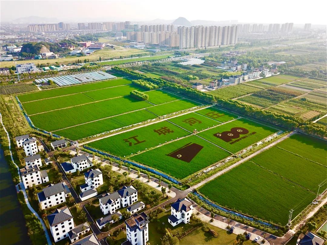 城镇建设手机游戏_城市建设手机游戏_城镇建设小游戏