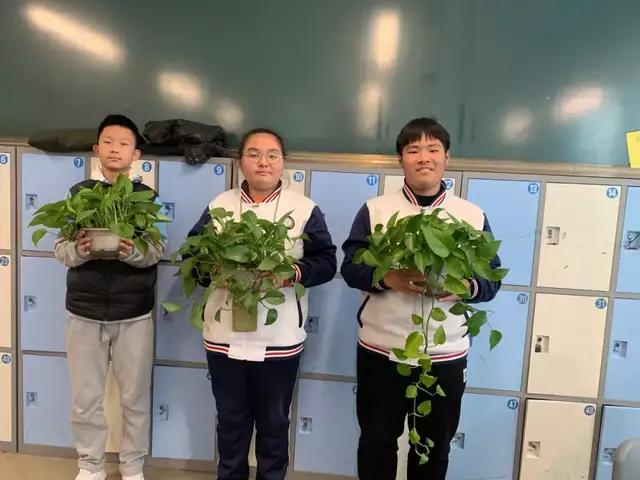 学霸矢吹健太朗教你：学习效率提升和社交技巧大揭秘