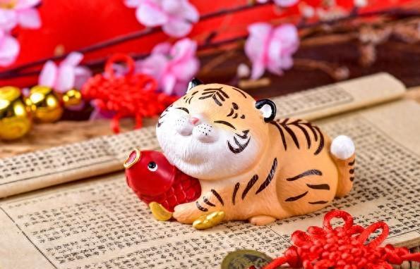 属虎的是哪年出生的_生肖虎出生年份_虎属相出生年