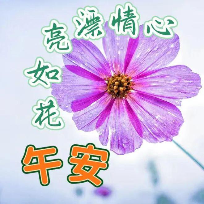 老友记重聚特辑什么时候拍的_老友记重聚特辑_特辑重聚老友记百度网盘