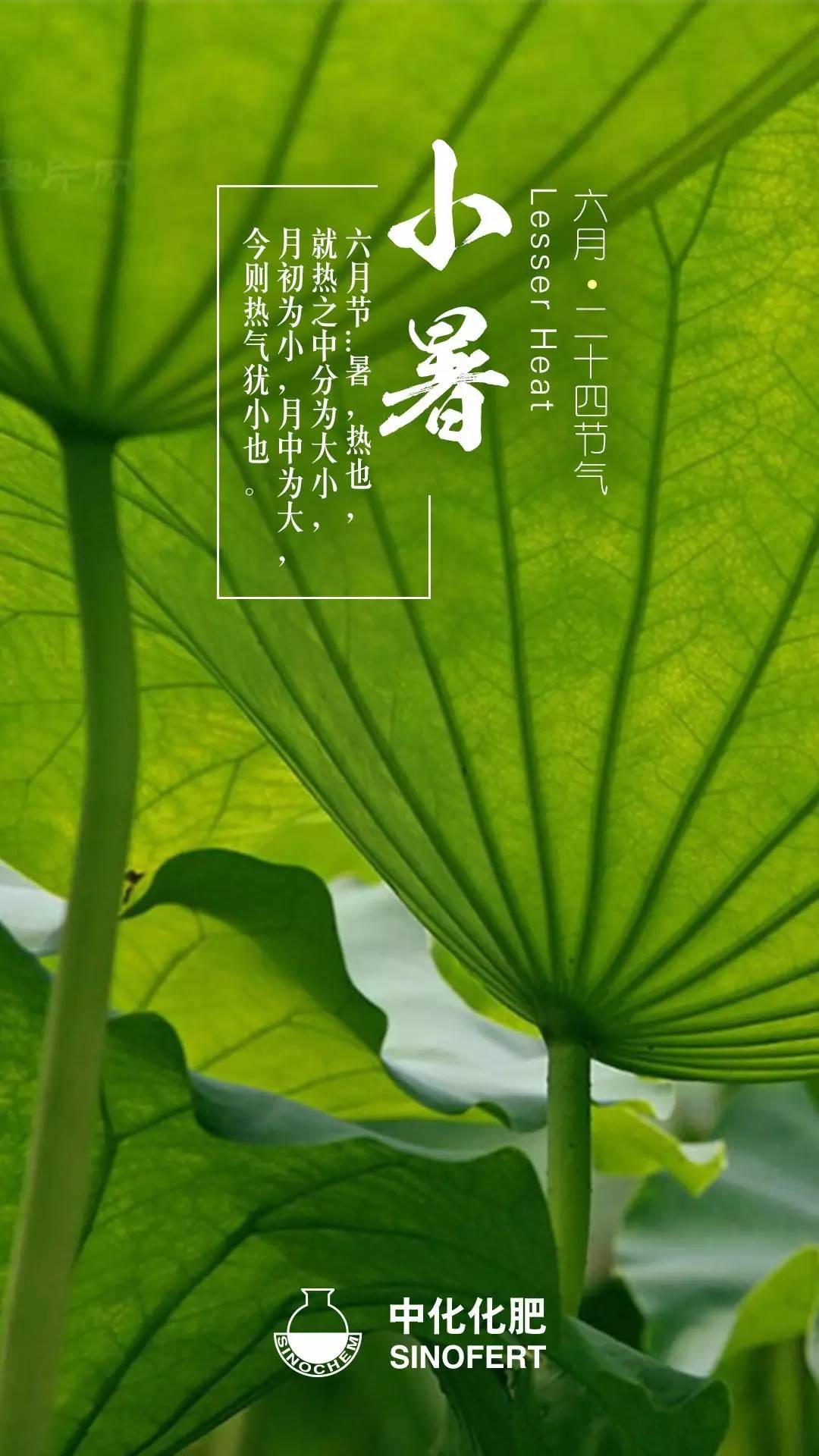 夏天月份是哪几个星座_夏天月份是几月到几月_几月份是夏天
