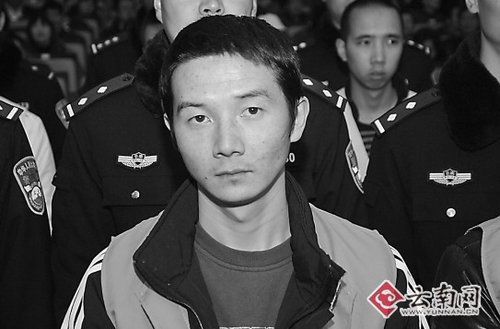 植物大战僵尸横版手机游戏_subrosa游戏手机版_破解版手机游戏