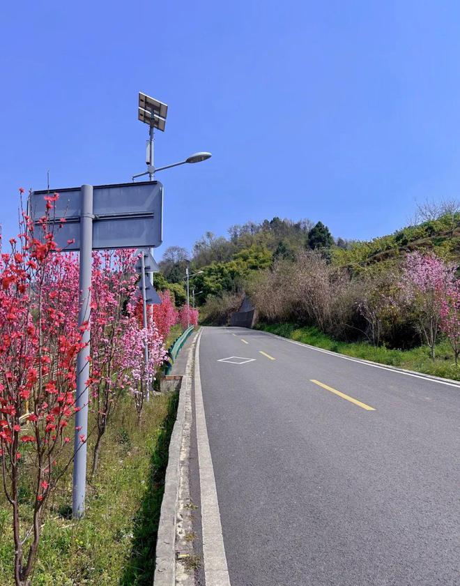 跑男指定动作拍照游戏_拍照任务游戏_安溪拍照手机游戏