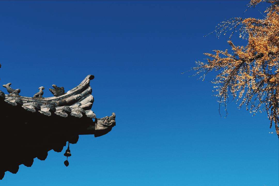 长妻树里_树妻去哪了_北原里英高城亚树