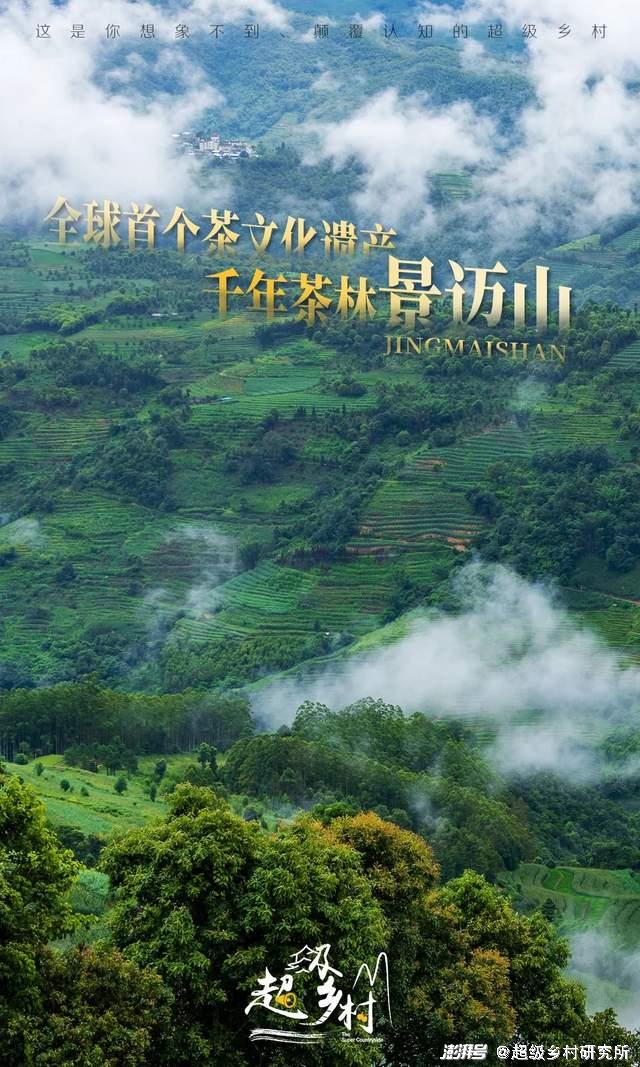 井野_山中井野_山中风和井野