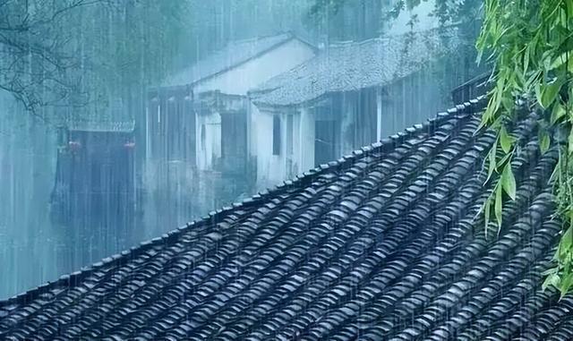 山中井野_山中风和井野_井野