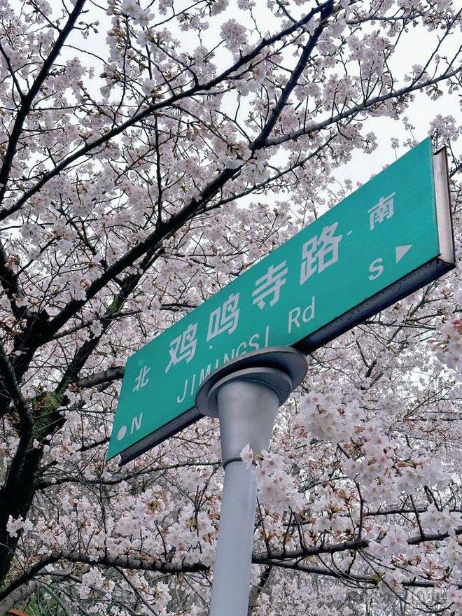 莉莉斯_严莉莉_汤姆莉莉官网