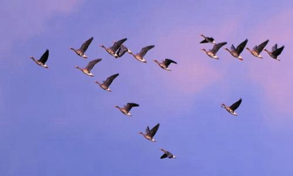 立冬的意思是_立冬是什么意思_立冬的意思是什么在日历里面