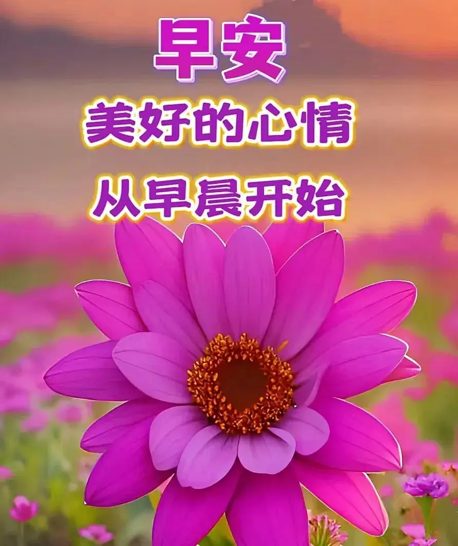 德国日期怎么看日月年_2012年7月13日_外国日期怎么看日月年