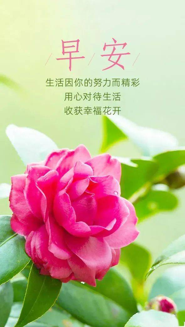 德国日期怎么看日月年_2012年7月13日_外国日期怎么看日月年