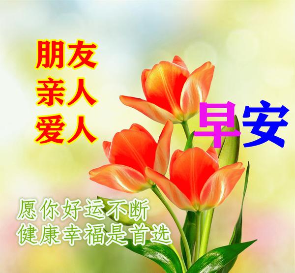 旋转吧雪月花是什么动漫_旋转吧雪月花萌娘百科_旋转吧雪月花