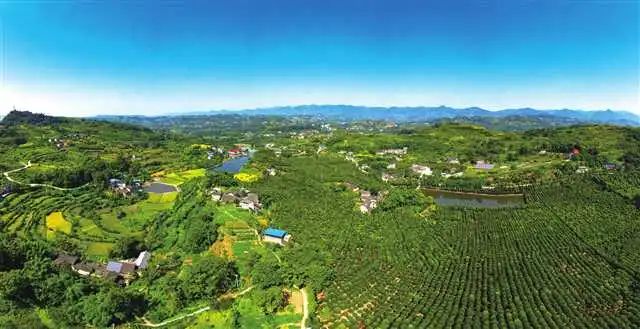 台湾淘米村成功的原因_台湾淘米_台湾淘米和上海淘米