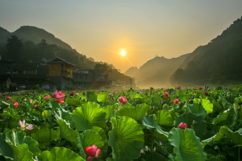 台湾淘米和上海淘米_台湾淘米_台湾淘米村成功的原因