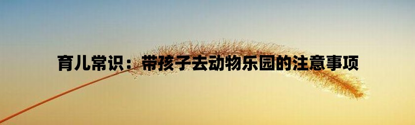 手机游戏手游_510游戏手机_手机游戏512内存够用吗