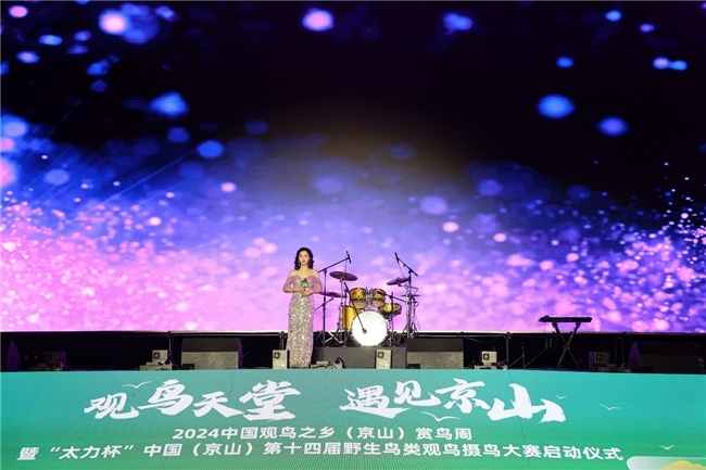 高端手机游戏手柄推荐_高端手机游戏排行榜_高端手机游戏ios