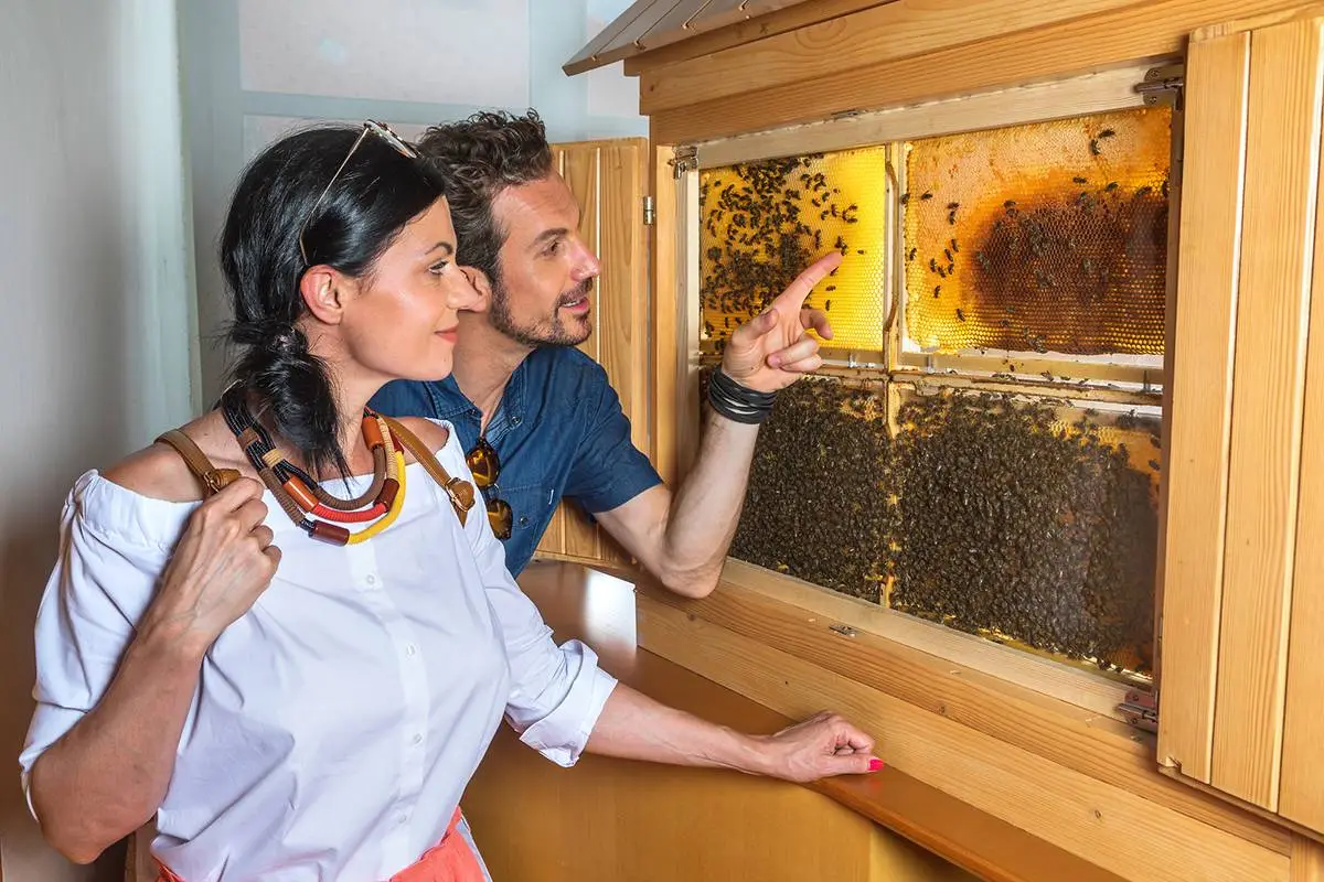 手机游戏倍速调节器_bee手机游戏_手机游戏崩溃是什么原因