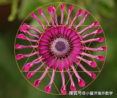 贝利电影_沙影贝利特_沙影贝利特装扮