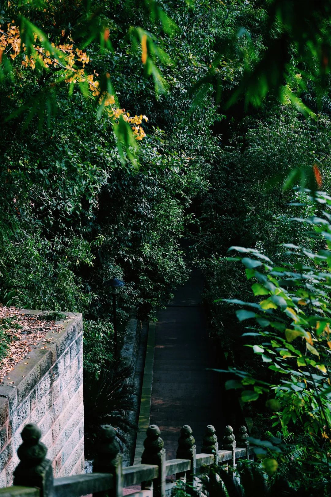 我想和你一起去海边_想去海边走走_想要海边