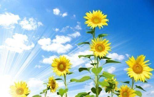 刀见笑大太监_刀见笑电影_刀见笑