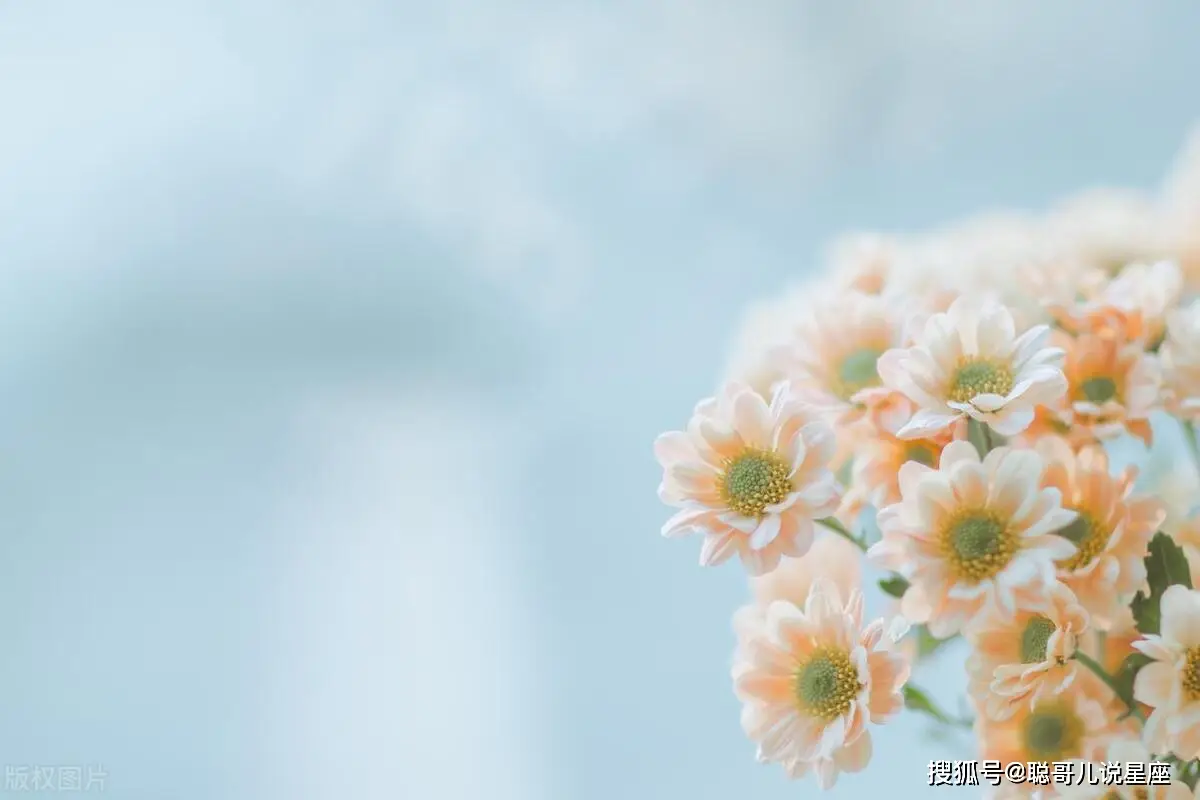 爆转陀螺王：童年记忆中最闪亮的篇章，纯粹快乐与竞技的象征