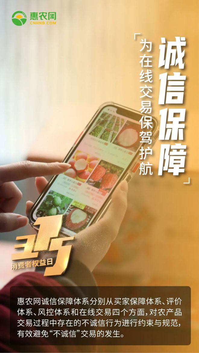 在线工具网址转换_md5在线工具_在线工具箱