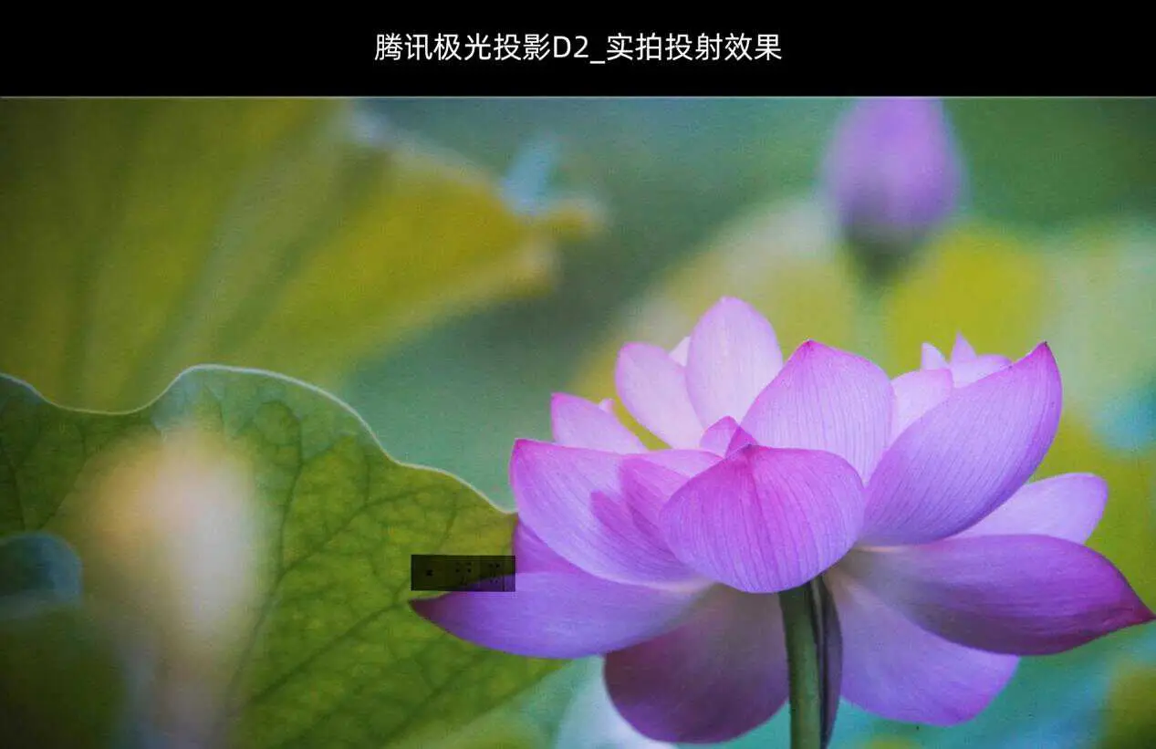 《咒》在线观看完整恐怖_咒恐怖片百度云资源_恐怖片咒上映了吗