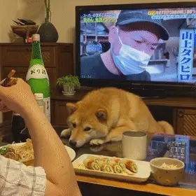 电脑游戏 手机游戏 眼_电脑游戏手机_手机用游戏电脑