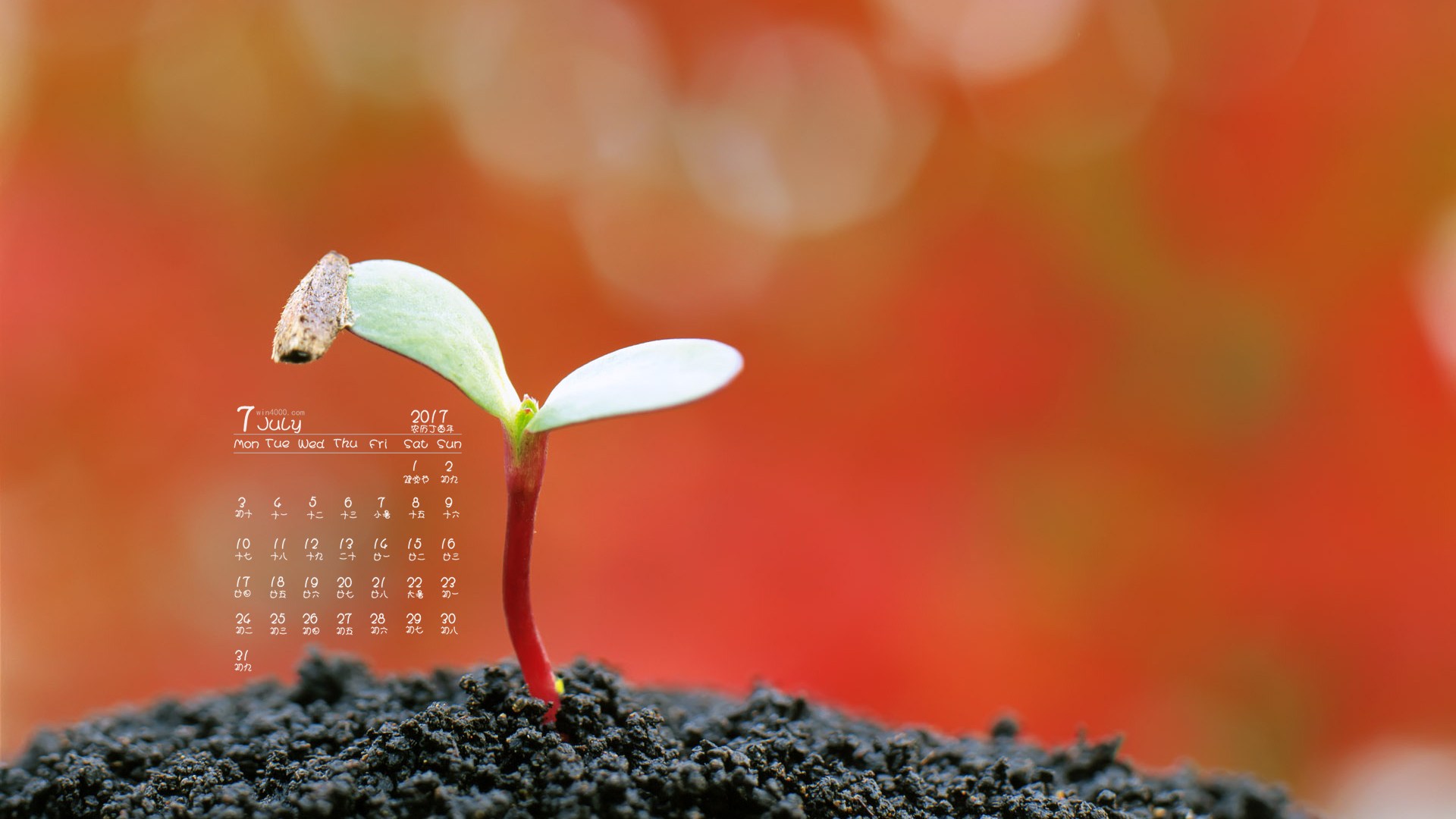 7月日历壁纸_日历壁纸2021年_日历壁纸可爱
