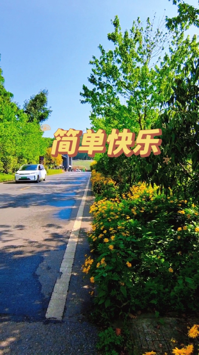 无敌果实_无敌开心鬼_无敌开心果
