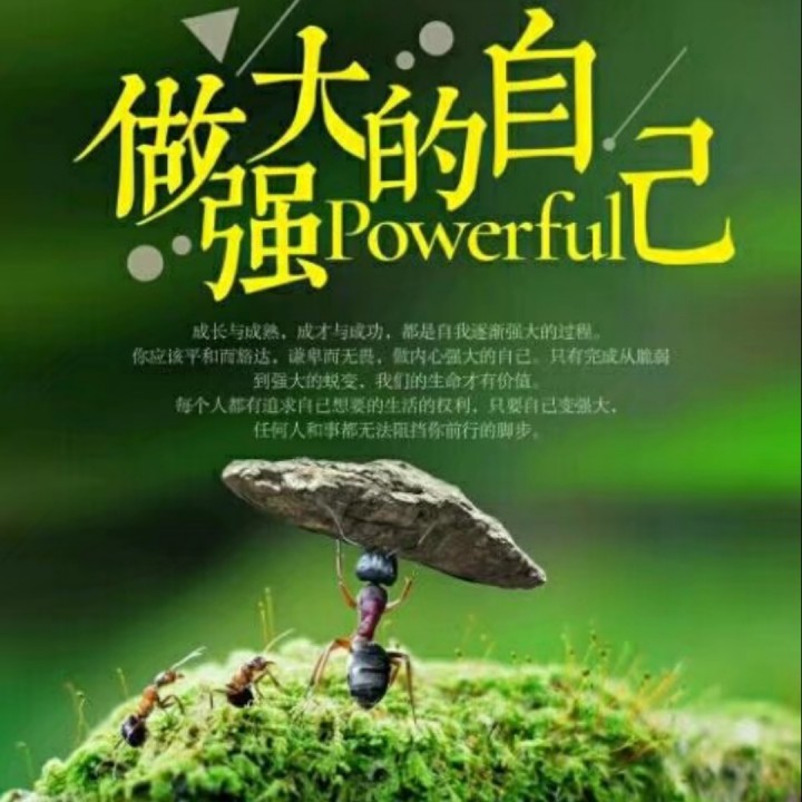 华哥是哪位声优_k尊哥声优梗视频求翻译_贤淑哥是百元哥吗