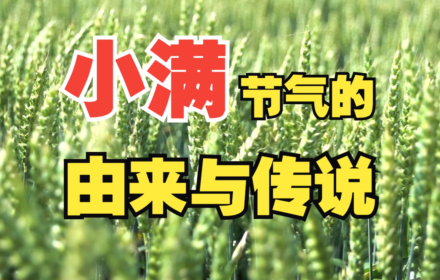 谚语小满不满_小满的谚语_谚语小满不满后一句是什么