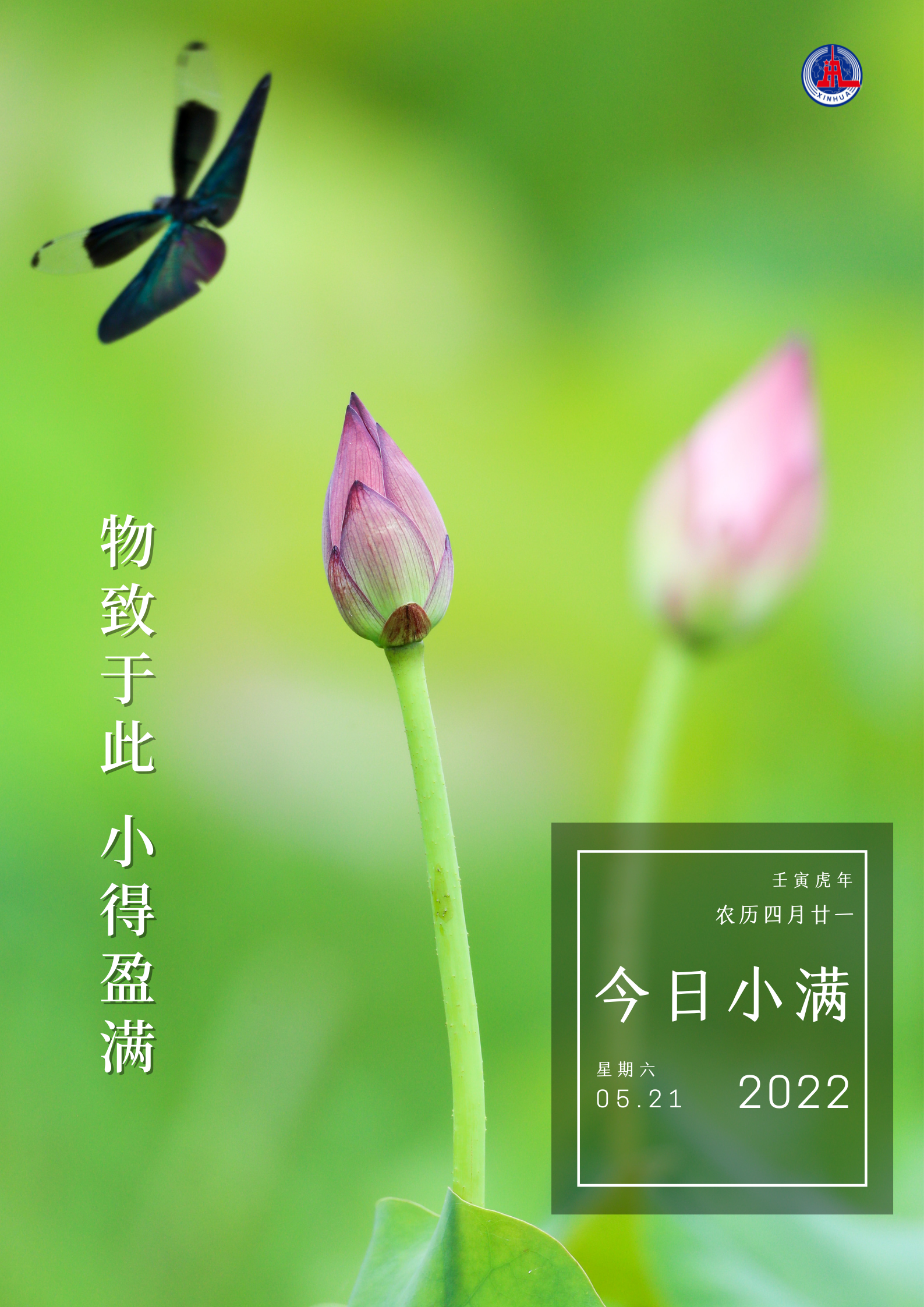 谚语小满不满后一句是什么_谚语小满不满_小满的谚语