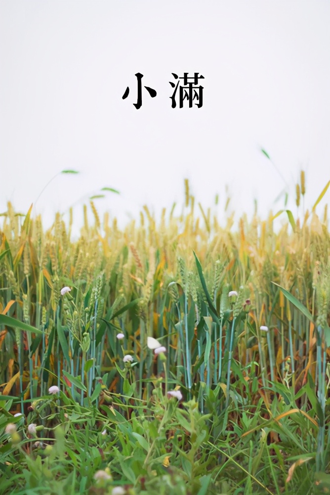 小满的谚语_谚语小满不满后一句是什么_谚语小满不满