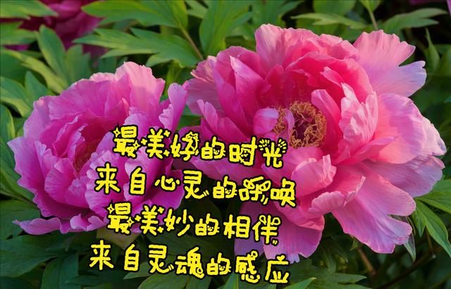 月亮领主攻略_月亮领主_领主月亮泉