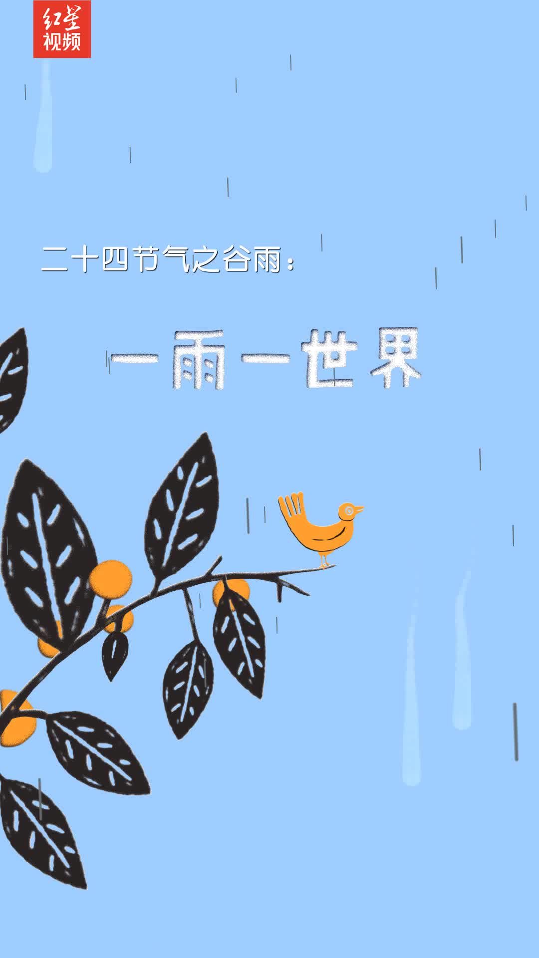传说谷雨这天的茶喝了会_谷雨的传说_谷雨传说