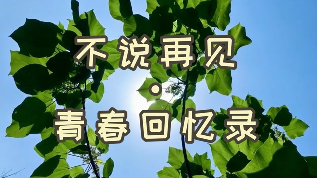 美少女梦工厂动画_美少女梦工厂打工_美少女梦工厂3