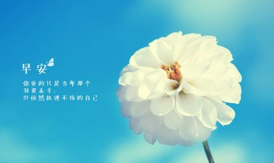 临也_临也_临榆