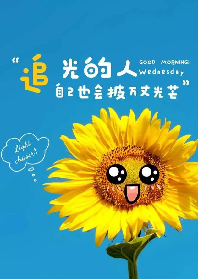 抖音很火的回家短句_回家抖音最火短句_抖音最火回家文案