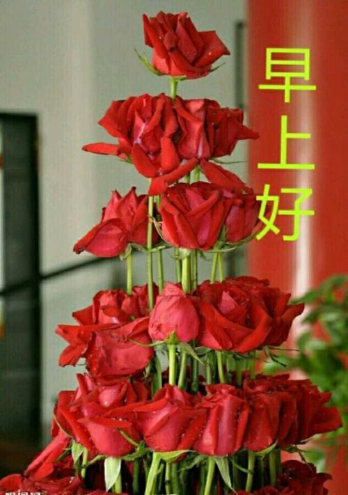 珂洛丽美甲加盟怎么样_珂洛丽_珂洛丽美甲形象连锁