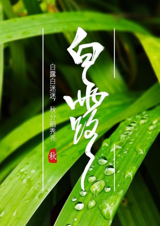 高野健一_高野健一_高野健一