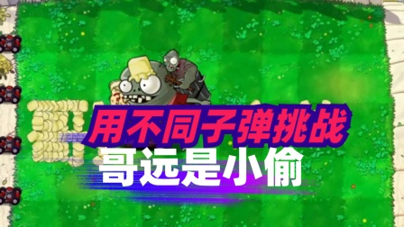 保护蛋壳手机游戏_保护蛋壳手工制作过程_蛋壳保护作用