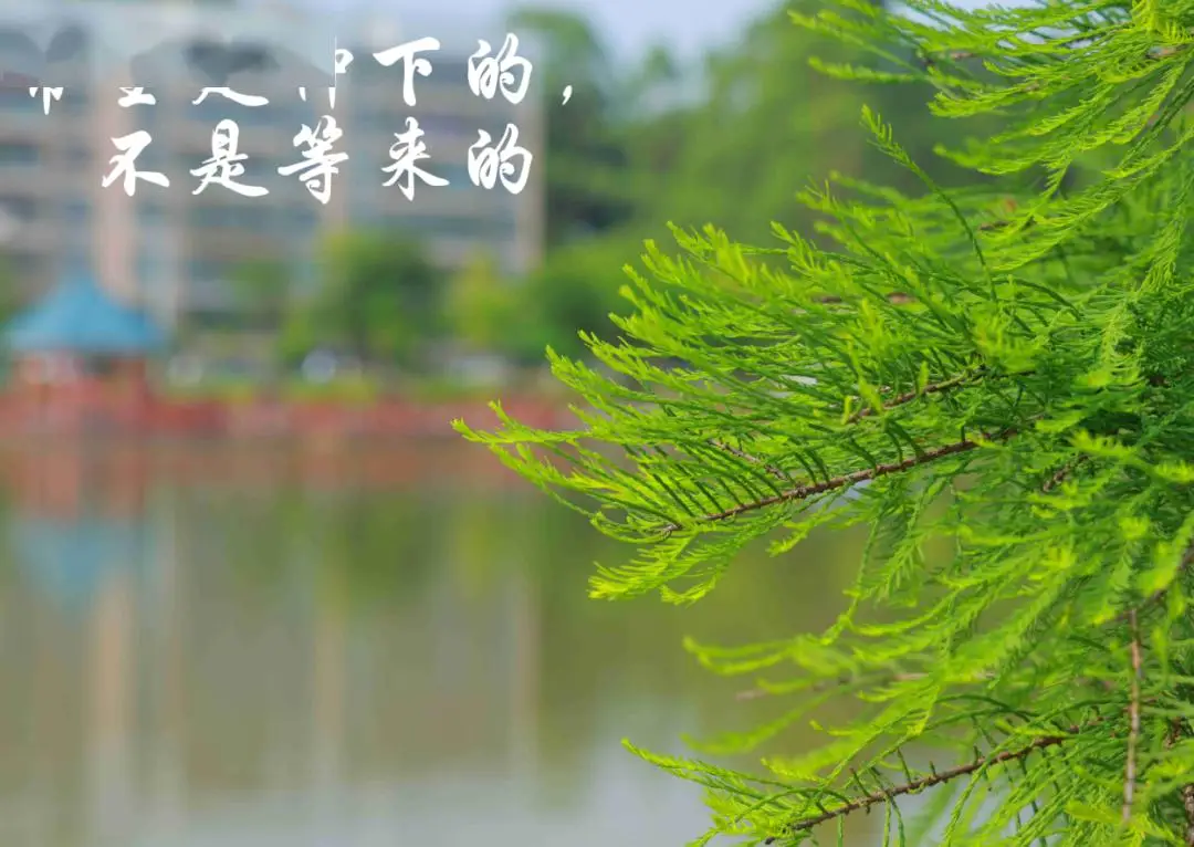 风雅直人年龄_风雅直人_风雅直人cv