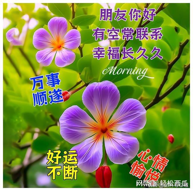 财富游戏网址_财富手机游戏_财富游戏